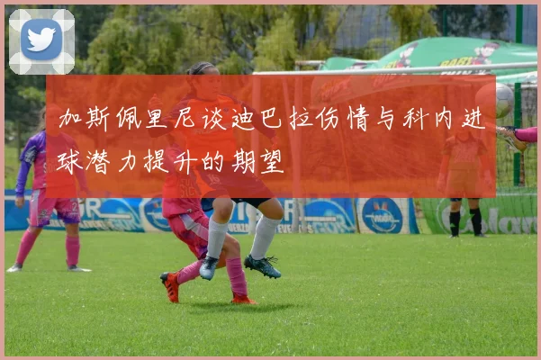 加斯佩里尼谈迪巴拉伤情与科内进球潜力提升的期望