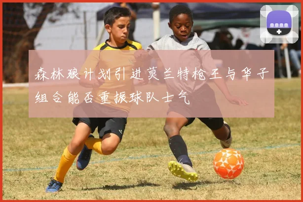 森林狼计划引进莫兰特枪王与华子组合能否重振球队士气