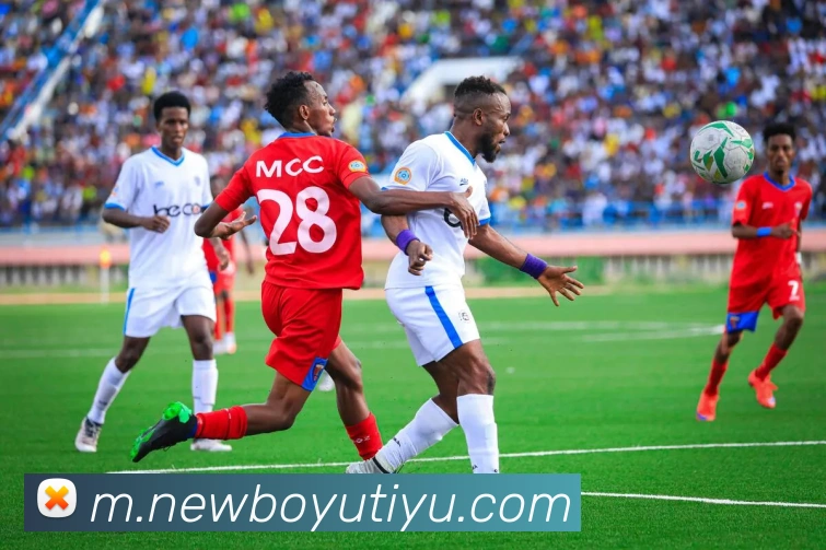 博鱼体育APP 封面图